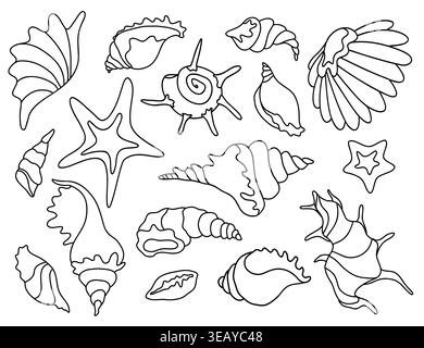 Sea Shells and Starfish Line Art Vector Set Stock Vector