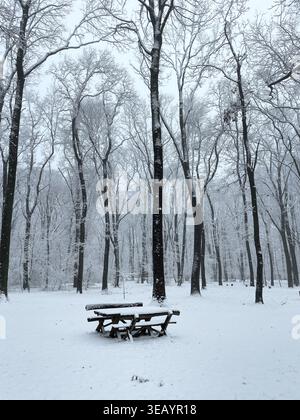 Wooden picnic table covered with snow in winter forest clearing. Outdoor leisure area transformed by cold season and silence. Stock Photo
