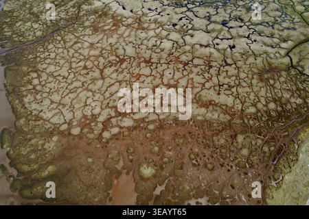 Aerial view of a complex network of waterways weaving through the landscape, creating intricate patterns of light and shadow, Lochgilphead, Scotland, Stock Photo