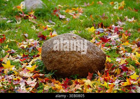 Decorative artificial stone used in landscape design with fallen maple leaves. High quality photo Stock Photo