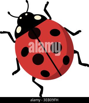 simple cute red ladybug vector illustration, top down view Stock Vector