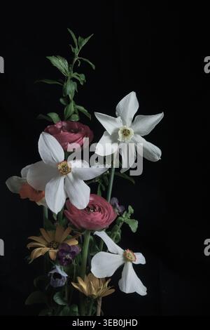 Vertical spring bouquet with daffodils, ranunculus and mixed blossoms on black background, minimal composition, copy space. Stock Photo