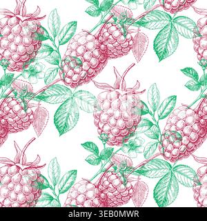 Hand-drawn illustration of raspberry plants with ripe berries and green leaves arranged in a seamless pattern on a white background Stock Vector