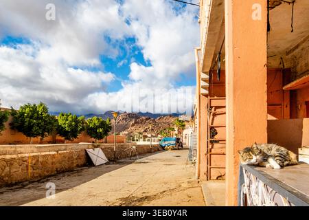 Tafraoute, A city street with small establishments and shops lined up on one side, while on the other appear trees with green foliage and blue sky in Stock Photo