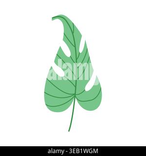 Monstera leaf vector flat botanical element isolated foliage summer design Stock Vector