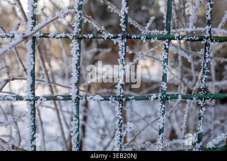 Closeup of a metal wire fence covered with frost and sparkling ice crystals under warm winter sunlight. Ideal for concepts of winter, cold, protection Stock Photo