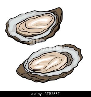 Vector illustration of two fresh oysters in shells, isolated on white Stock Vector