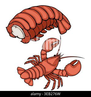 Vibrant red lobster illustration vector, isolated on white background Stock Vector