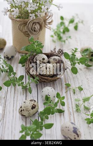 quail, bird's nest, spring decoration, quails, bird's nests, spring decorations Stock Photo
