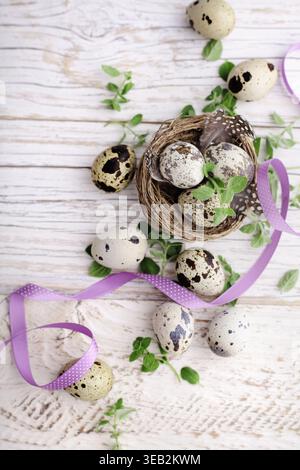 quail, bird's nest, quails, bird's nests Stock Photo