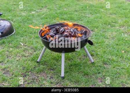 Charcoal grill with hot burning coals and visible flames on green grass outdoors, barbecue preparation concept Stock Photo