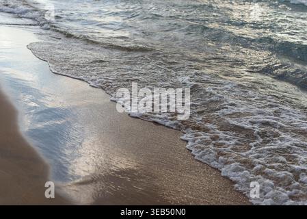 A soft foamy wave gently rolling over wet golden sand at the edge of the sea. The water glistens in the sunlight, creating a peaceful and serene coast Stock Photo