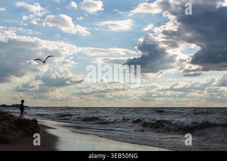 Seagull flying above ocean waves under dramatic cloudy sky with soft evening light, peaceful coastal landscape Stock Photo