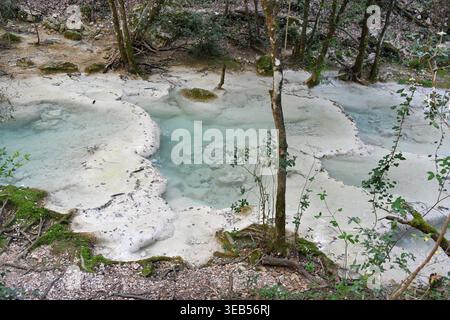 Travertine Terraces, or Petrified Calcareous Basins at the Source of the River Huveaune, in the Sainte Baume Nature Reserve, Nans-les-Pins Provence Stock Photo