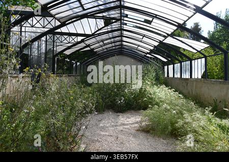 Abandoned Greenhouse or Glasshouse Stock Photo