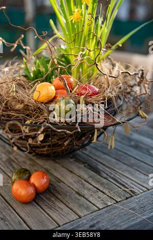 easter nest, easter eggs, easter decoration, easters, easter egg, easter decorations Stock Photo