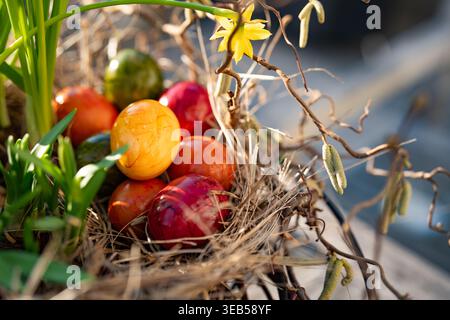 easter nest, easter eggs, easters, easter egg Stock Photo
