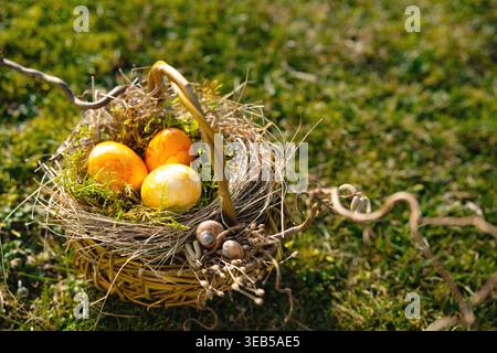 easter nest, easter eggs, easters, easter egg Stock Photo