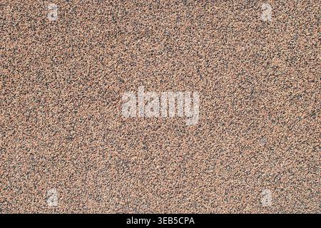 Light beige rough exterior plaster wall surface texture background closeup. Stock Photo