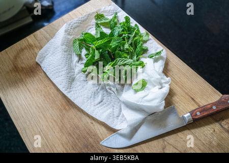 High angle view of fresh mint leaves on cutting board Stock Photo