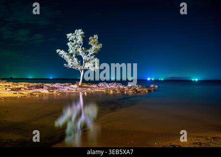 A single tree stands on rocky shoreline with reflection in calm water at night at Klong Muang Beach Krabi Thailand Stock Photo