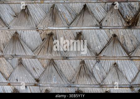 Close view of dried palm leaves arranged in a woven wall pattern at Tubkaek Beach in Krabi Thailand Stock Photo