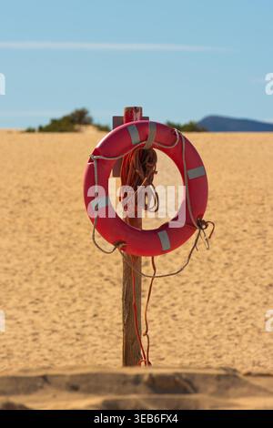 View of a red lifebuoy hanging on a wooden post amidst the vast sand dunes of the Canary Islands under a clear blue sky in Lanzarote, Canarias, Spain. Stock Photo