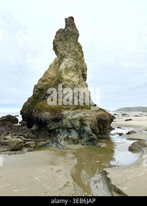 Sea stack during low minus tide at Face Rock Beach in Bandon, Oregon. Stock Photo