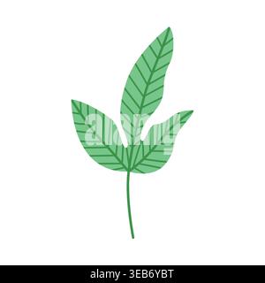Tropical leaf vector flat botanical element isolated foliage summer design Stock Vector