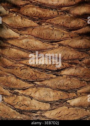 Palm trunk with scale-like leaf scars in close-up, repeating pattern and warm natural colors, ideal as texture or background Copyspace Stock Photo