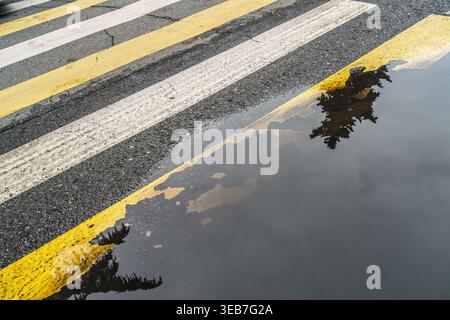 Batumi, georgia 21 april 2026: puddle reflecting tree and sky beside yellow-and-white zebra crosswalk on wet asphalt, creating geometric, symmetrical Stock Photo