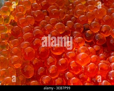 Red caviar background featuring glistening salmon roe with vibrant colors and rounded shapes. Mobile photo Stock Photo