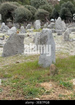 Megalithic stone circle in grassy landscape with scattered rocks and trees in background. Mobile photo Stock Photo