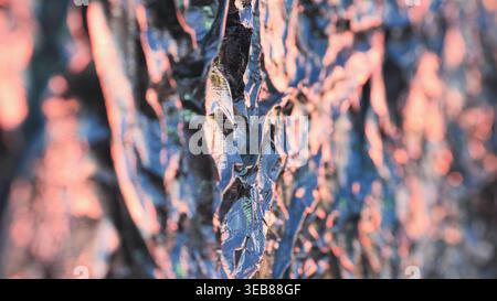 Reflecting light on abstract metallic texture creating a vibrant color gradient background Stock Photo