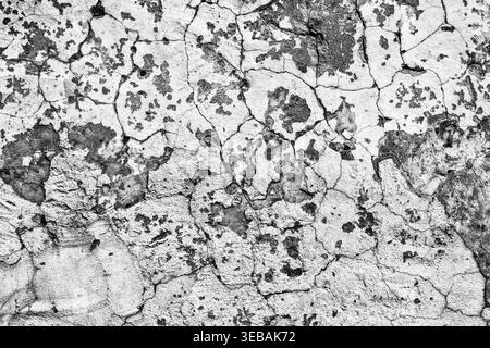 Weathered cracked light grey concrete wall. Old cement surface texture. Grunge background Stock Photo