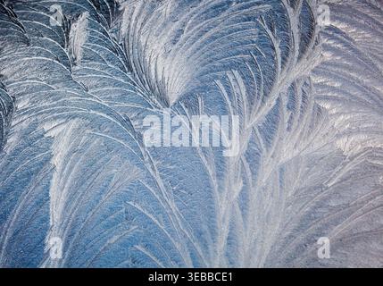 Feather-like ice crystals bloom across glass on a frosty morning, forming delicate, fern-inspired patterns shaped by winter’s quiet breath. Stock Photo