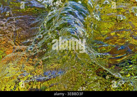 Sunlit shallow stream ripples over pebbles, weeds and fallen autumn leaves, blending greens, golds and amber into a vivid abstract tapestry. Stock Photo