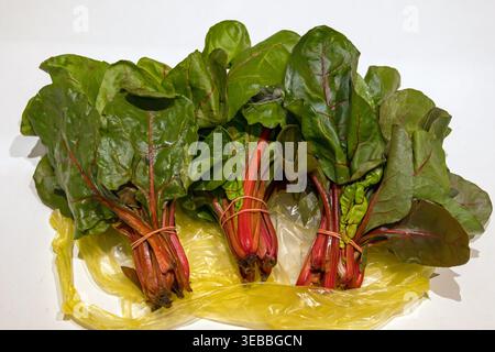 Raw organic swiss chard vegetable leaves on kitchen table Stock Photo