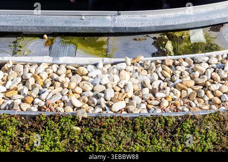 Low-profile green roof planted with sedum and gravel drainage strips on a Vienna building in Austria, showcasing sustainable urban design, insulation Stock Photo