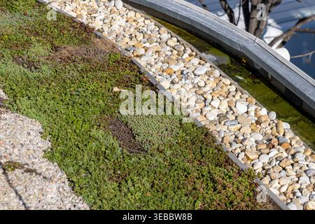 Low-profile green roof planted with sedum and gravel drainage strips on a Vienna building in Austria, showcasing sustainable urban design, insulation Stock Photo