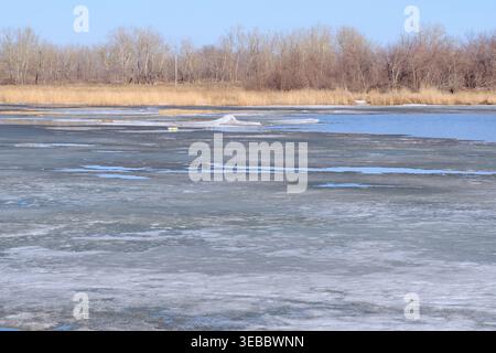 Close up melting ice floes on river bank with golden dry grass and winter forest Stock Photo