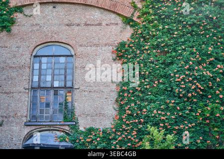 A weathered brick building facade featuring a tall, arched wooden window with multiple glass panes showing signs of age and wear. The right side of Stock Photo