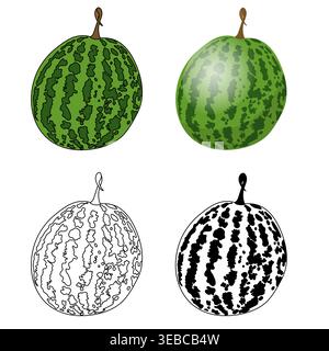 Watermelon in various styles. Vector illustration isolated on white background. Stock Vector