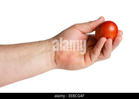 Human hand holding a single fresh brown egg between fingers. Concept of quality control and organic farming. Stock Photo