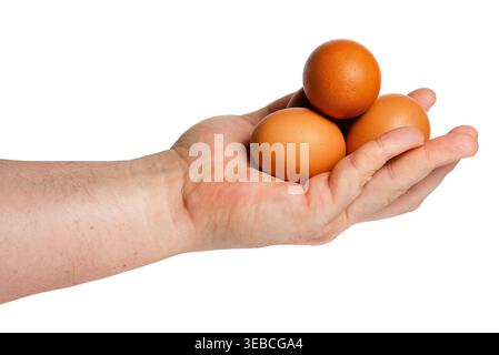 Person holding several brown eggs in one hand. Concept of abundance, harvest and organic poultry farming. Stock Photo