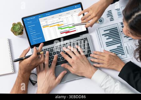 Project planning software for brisk business project management on the computer screen showing timeline chart of the team project Stock Photo