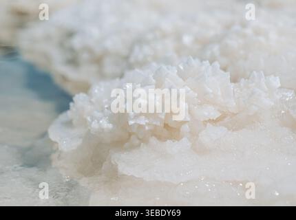 Intricate salt crystal formations sparkle near the clear water at Lake Baskunchak Stock Photo