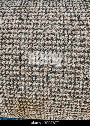 High-resolution close-up of a neutral loop pile carpet surface with mixed beige and gray tones. Ideal for background use, interior design concepts, fl Stock Photo