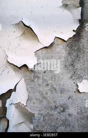 Texture detail of heavily flaking white paint on rough gray plywood surface as background Stock Photo