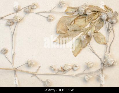 Top view of a floral frame made of dried branches and autumn leaves on a beige craft paper background Stock Photo